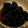 たんく３１'s cooksnap of when they made 絶対失敗しない！ふっくら☆つやつや黒豆煮.
