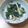 ♪ＦａＦａ♪'s cooksnap of when they made ほうれん草と蒲鉾の辛子入りごま和え.