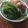 ふか谷's cooksnap of when they made 。＊春菊サラダ＊。.