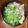 クックMVXCM0☆'s cooksnap of when they made ☆HB☆讃岐風手打ちうどん.