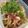 ゆるмαмα's cooksnap of when they made ☆茄子とキノコのおろし浸し☆.
