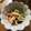 すだっちちー's cooksnap of when they made お弁当にも◎豆苗とカニカマのさっぱり和え.