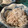 クック☆やーっ！'s cooksnap of when they made しらすと大根おろし.