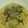 max4995's cooksnap of when they made 牡蠣のオイル煮とほうれん草のパスタ.