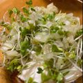 love385's cooksnap of when they made ブロッコリースプラウトとネギ塩の豆腐のせ.