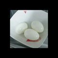 ムラーラ's cooksnap of when they made ☆美味しいゆで玉子☆.