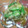 わんこ母ちゃん's cooksnap of when they made おくらとちくわのゴマ和え。.