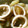 まっすー1206's cooksnap of when they made ◆イカと大根の煮物◆こってり甘め♪.
