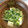 ちきakki's cooksnap of when they made 簡単！厚揚げ豆苗の旨煮.