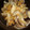 mikiha5's cooksnap of when they made オイスターソースで殻付きあさりの蒸し焼き.
