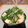 あかりんマミー's cooksnap of when they made 鉄板鍋.