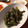 みかん由紀's cooksnap of when they made 枝豆　皮ごとガーリック炒め.