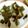 ［しゃんぺ］'s cooksnap of when they made ダイエットに♡簡単！こんにゃくの食べ方.