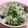 だいぽよ☆'s cooksnap of when they made 大根菜炒め～ご飯にのせて菜飯～.