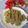 スタイリッシュママ's cooksnap of when they made クリスマス抹茶クッキー.