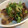 新米主婦ゆきちん's cooksnap of when they made ～牛肉と生姜のしぐれ煮～.
