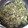 ノンタンオンマ's cooksnap of when they made ジャコとネギのしっとりふりかけ♪.