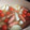 ファウスト三世's cooksnap of when they made ソーセージ＆大根＆プチトマトの洋風おでん.