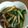 。ありんこ。's cooksnap of when they made もう一品って時に小松菜の煮びたし.