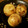 pipo☆pipo's cooksnap of when they made まんまるに出来る！旨たこ焼き☆.