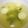 はずかしむでぃん's cooksnap of when they made 簡単★温まるニンニクスープ.