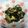 べりーらぶ's cooksnap of when they made 私の大好物！おかずになる大根の葉の常備菜.