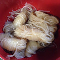 とももんちゃ's cooksnap of when they made お弁当に！小結しらたきの簡単めんつゆ味♪.