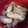 とももんちゃ's cooksnap of when they made お弁当に！小結しらたきの簡単めんつゆ味♪.
