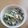 だっんだ's cooksnap of when they made ニラとツナの和え物.
