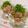 赤い電話's cooksnap of when they made あっさり☆鰹のポン酢漬け.