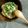 ducarin's cooksnap of when they made しらすと貝割れでお豆腐のカンタン白和え♡.