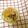 Celia1126's cooksnap of when they made 鍋に投入❤もっちりカボチャ団子❤.