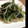ちょさ's cooksnap of when they made ほうれん草＆もやしの炒め物.