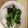 一人暮らしの子's cooksnap of when they made 捨てないで！カブの葉っぱでふりかけ♪.