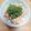 Iris☆☆'s cooksnap of when they made 海苔の変わり大葉で玉子丼（クローン病用）.