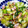koroo16's cooksnap of when they made ちんげん菜ときのこオイスター炒め♡.