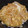 早摘みレモン's cooksnap of when they made 南関あげと白菜の卵とじ丼.