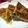 h〜aya〜h's cooksnap of when they made スパム☆焼きそば焼き.