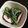 ポメちょん's cooksnap of when they made 辛子×粒マスタード❀ほうれん草サラダ.