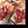 ぱぴ88's cooksnap of when they made いろいろ使える！カポナータ.