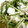 6mori's cooksnap of when they made ささみと水菜のゆずぽん酢和え.