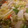 まみムメモ's cooksnap of when they made 和風ポトフ☆塩こうじ☆ジビエ.