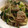 うにょ～ん's cooksnap of when they made 豚肉とセロリの香り炒め.