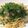 ＊わ　ぁ＊'s cooksnap of when they made 牡蠣バターのパスタ.