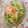 uzu1118's cooksnap of when they made 混ぜ込み稲荷すし.