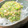 kichicoron's cooksnap of when they made シャキシャキ大根とオクラの夏の小鉢.