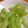 あんどうゆう子's cooksnap of when they made セロリの浅漬け.