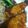 kwnszk0113's cooksnap of when they made てりてり☆ぶり照り焼き.