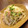 じゃがりこ！'s cooksnap of when they made すし酢でおいしい！中華風はるさめの酢の物.