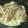 みかみか＾＾'s cooksnap of when they made 豚キャベ丼.